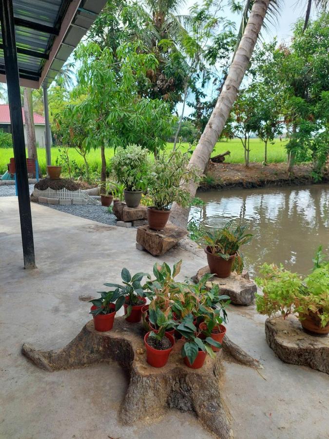 Pink Homestay D'Perlis Kangar Εξωτερικό φωτογραφία