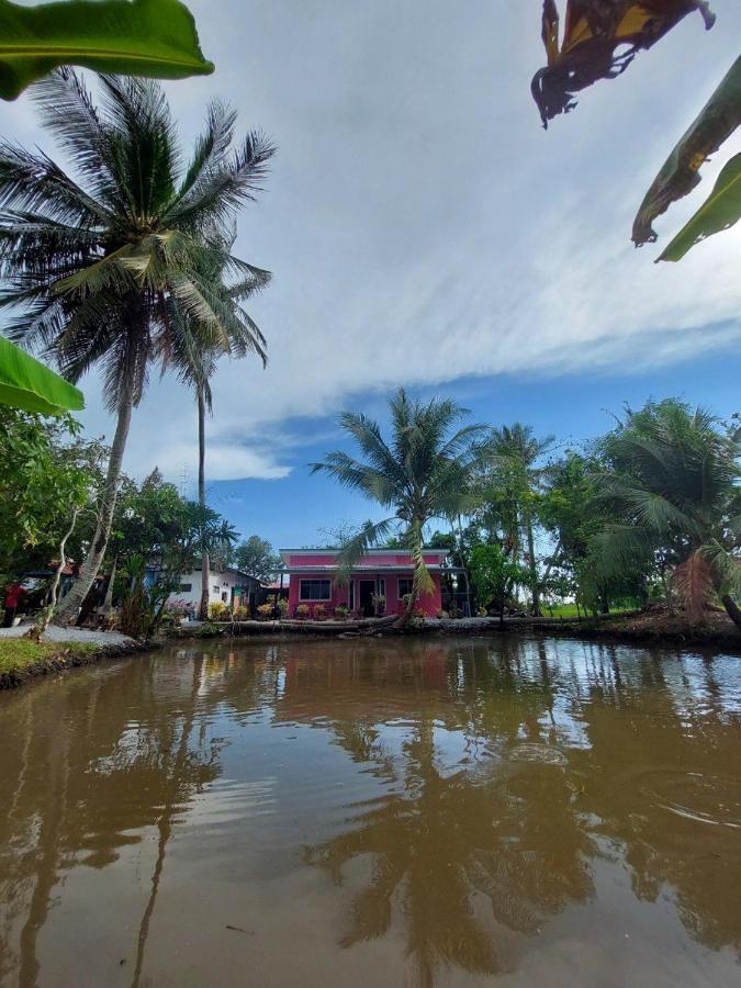 Pink Homestay D'Perlis Kangar Εξωτερικό φωτογραφία